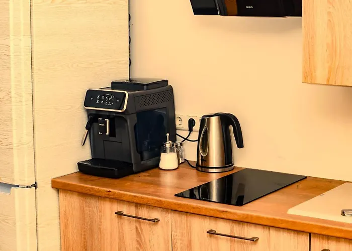 Atostogu Bustas Su Jacuzzi Апартаменты Клайпеда